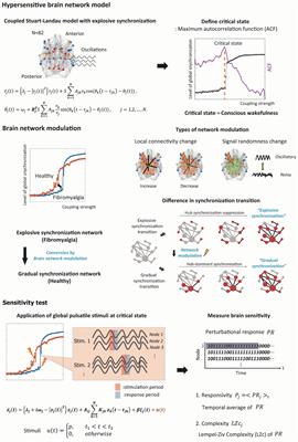 Explosive Synchronization-Based Brain Modulation Reduces Hypersensitivity in the Brain Network: A Computational Model Study